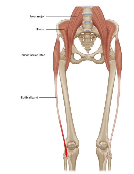 Iliotibial Band Syndrome Treatment Knee Pain Relief Pain Spa 