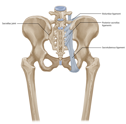Sacro iliac joint pain opt